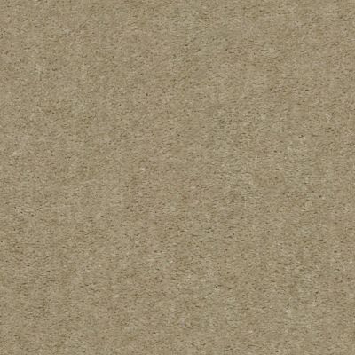 Shaw Floors Value Collections Heroic Net Chateau 00116_5E386