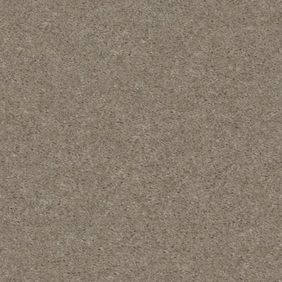 Shaw Floors Value Collections Heroic Net Free Spirit 00790_5E386