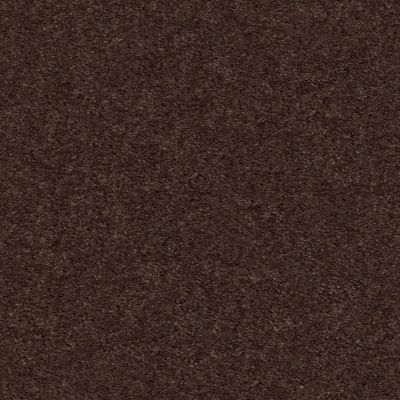 Shaw Floors Value Collections Heroic Net Truffle 00792_5E386