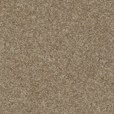 Shaw Floors Value Collections Valiant Net Barnwood 00700_5E387