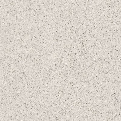 Shaw Floors Simply The Best Suave Net Canvas 00190_5E388