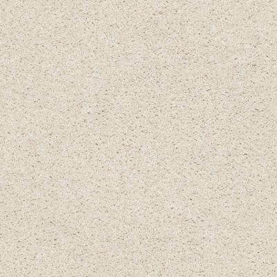 Shaw Floors Simply The Best Suave Net Blondie 00191_5E388