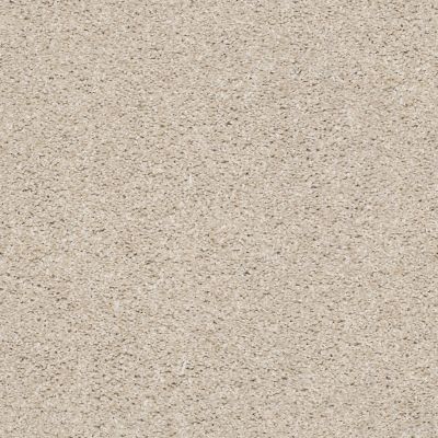 Shaw Floors Simply The Best Suave Net French Buff 00192_5E388