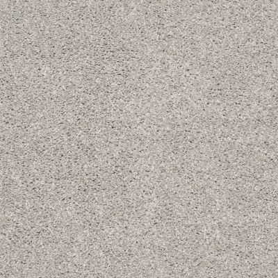 Shaw Floors Simply The Best Suave Net Birch 00591_5E388