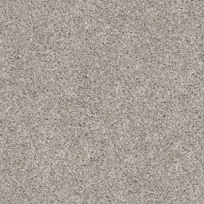 Shaw Floors Simply The Best Suave Net Mushroom 00594_5E388