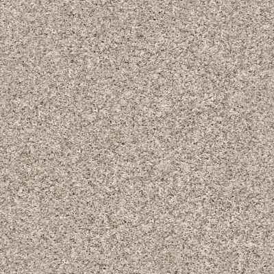 Shaw Floors Value Collections Summertown III Raw Linen 13110_5E432