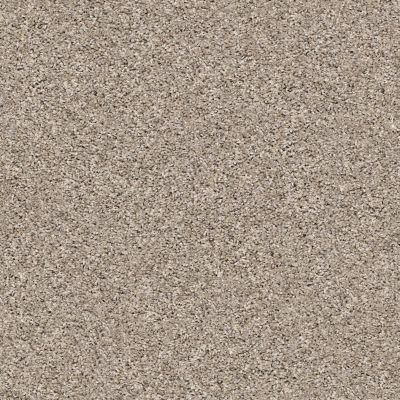 Shaw Floors Value Collections Summertown III Natural Finish 13111_5E432