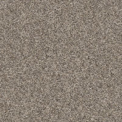 Shaw Floors Value Collections Summertown III Park Trail 13124_5E432