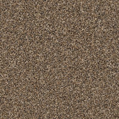 Shaw Floors Value Collections Summertown III Hidden Treasure 13201_5E432
