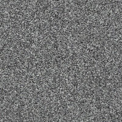 Shaw Floors Value Collections Summertown III Foggy Night 13502_5E432