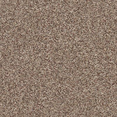 Shaw Floors Value Collections Summertown III Pebble Path 13700_5E432