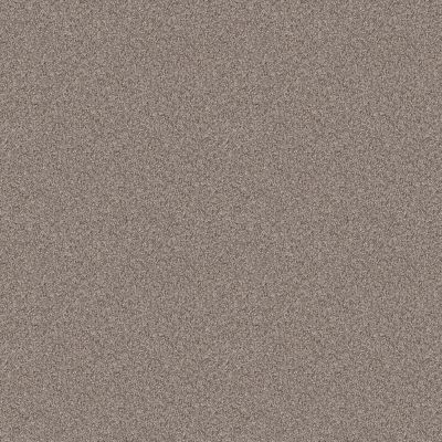 Shaw Floors Pet Perfect Influencer Chestnut 00108_5E443