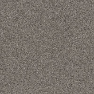 Shaw Floors Foundations Influencer Fossil Path 00116_5E443