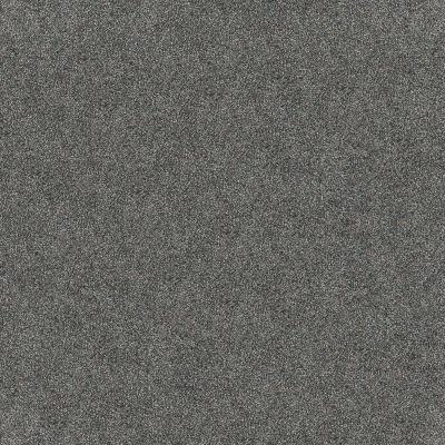 Shaw Floors Pet Perfect Influencer Turquoise Jewel 00401_5E443