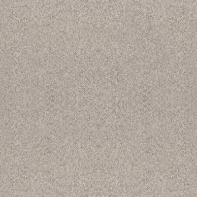 Shaw Floors Foundations Alluring Canvas Baltic Stone 00128_5E445