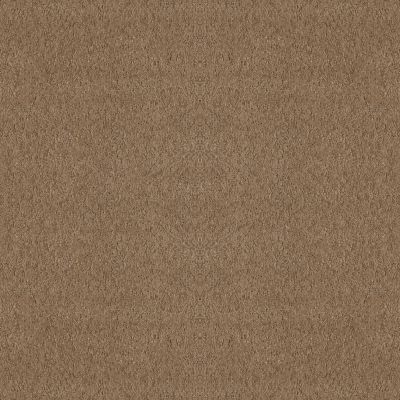 Shaw Floors Foundations Alluring Canvas Raw Wood 00720_5E445