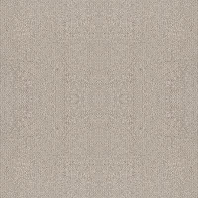 Shaw Floors Foundations Fine Tapestry Baltic Stone 00128_5E446