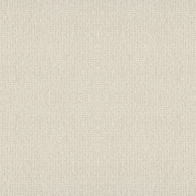 Shaw Floors Foundations Fine Tapestry Champagne Toast 00153_5E446