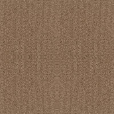 Shaw Floors Foundations Fine Tapestry Raw Wood 00720_5E446