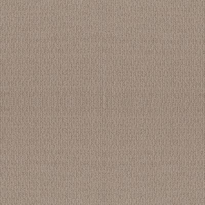 Shaw Floors Simply The Best Iconic Way Perfect Taupe 00119_5E450