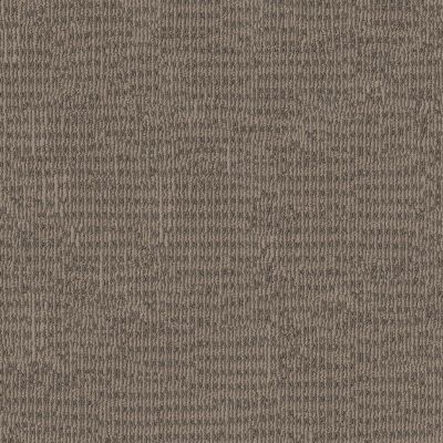 Shaw Floors Pet Perfect Plus Chic Elevation Raw Wood 00700_5E456