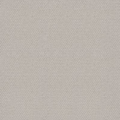Shaw Floors Simply The Best Channeling Minimal 00101_5E457