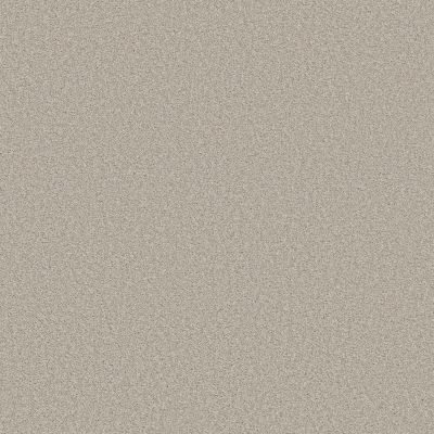 Shaw Floors Foundations Harmonious I Net Split Sediment 00104_5E471