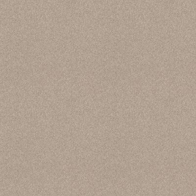 Shaw Floors Foundations Harmonious II Net Sandstone 00743_5E472