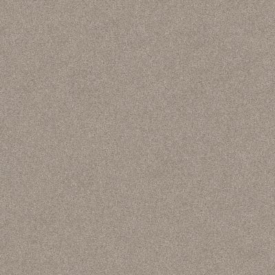 Shaw Floors Foundations Harmonious III Net Fossil Path 00108_5E473
