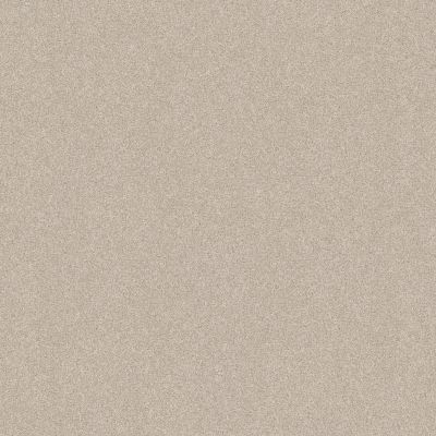 Shaw Floors Foundations Harmonious III Net Champagne Toast 00153_5E473