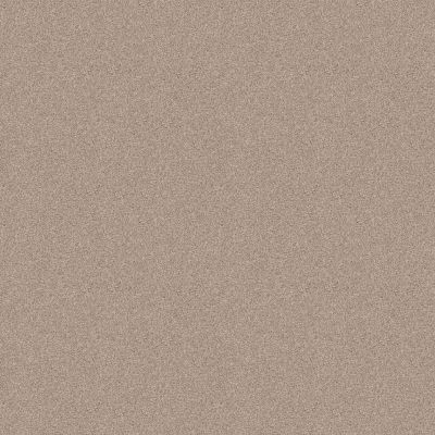 Shaw Floors Foundations Harmonious III Net Heirloom 00803_5E473