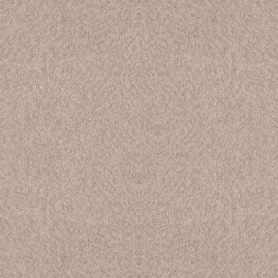 Shaw Floors Foundations Alluring Canvas Net Heirloom 00803_5E476