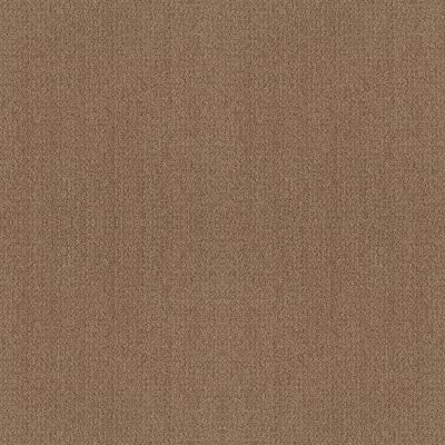 Shaw Floors Foundations Fine Tapestry Net Raw Wood 00720_5E477
