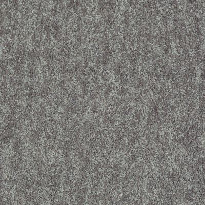 Shaw Floors Value Collections Take Away (s) Net Shadow 00502_5E479