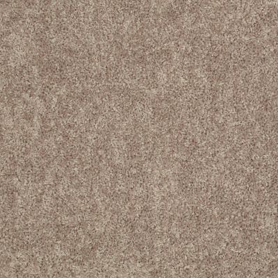Shaw Floors Value Collections Take Away (s) Net Ridge 00702_5E479