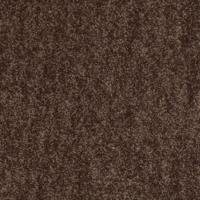 Shaw Floors Value Collections Take Away (s) Net Mocha 00704_5E479
