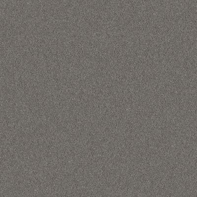 Shaw Floors Simply The Best Without Limits I Silver Spoon 00502_5E482