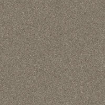 Shaw Floors Simply The Best Without Limits II Macadamia 00102_5E483