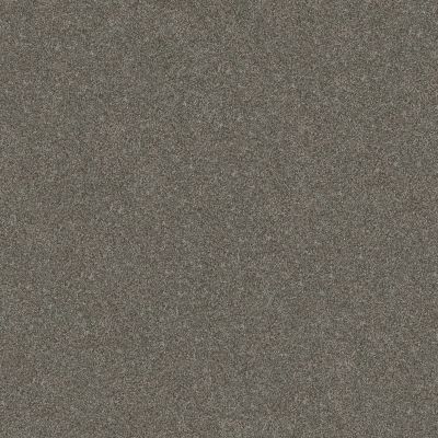 Shaw Floors Simply The Best Without Limits III Organic 00300_5E484