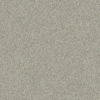 Shaw Floors Simply The Best Boundless I Soft Breeze 00131_5E485