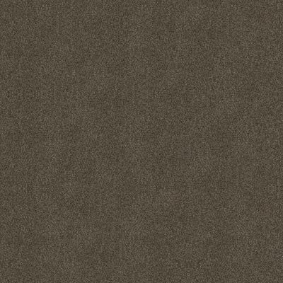 Shaw Floors Simply The Best Boundless I Chestnut Ridge 00751_5E485