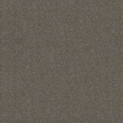 Shaw Floors Simply The Best Boundless Iv Slate Stone 00105_5E488