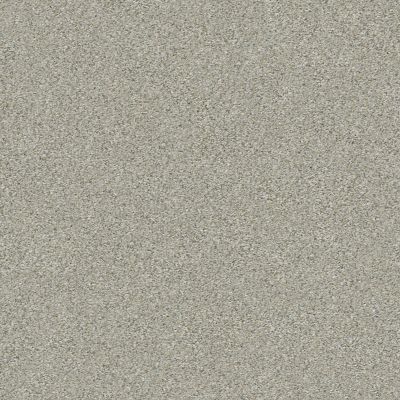 Shaw Floors Simply The Best Boundless Iv Soft Breeze 00131_5E488