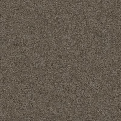 Shaw Floors Simply The Best Boundless Iv Woodcraft 00701_5E488