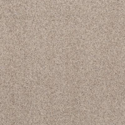 Shaw Floors Work It Out Reliable Beige 00105_5E492
