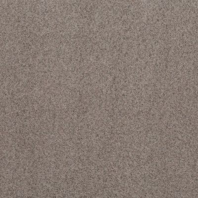 Shaw Floors Work It Out Pewter Taupe 00501_5E492