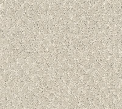Shaw Floors Value Collections Versatile Net Pearl 00103_5E493