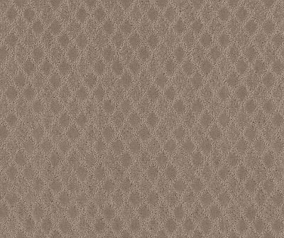 Shaw Floors Value Collections Versatile Net Shadow 00109_5E493