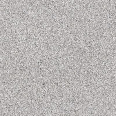 Shaw Floors Pet Perfect Influencer Net Silver Lining 00105_5E500