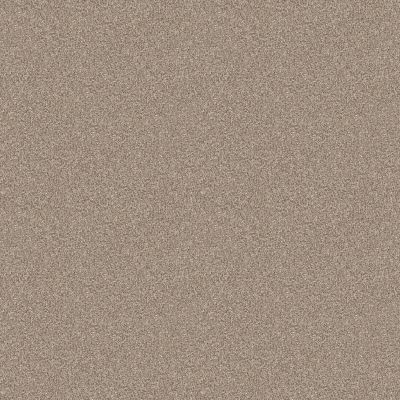 Shaw Floors Pet Perfect Influencer Net Sunkissed 00710_5E500